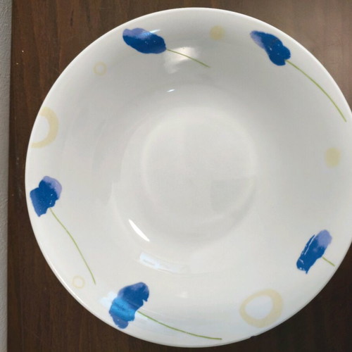 Serving set used 17 pieces with shallow, deep and dessert plates