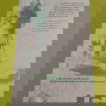  15 polar dollars 2011