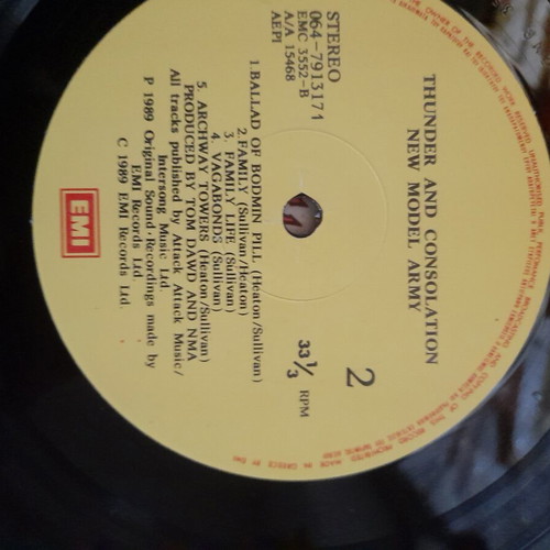 New Model Army Thunder and Consolation vinyl like new, rock