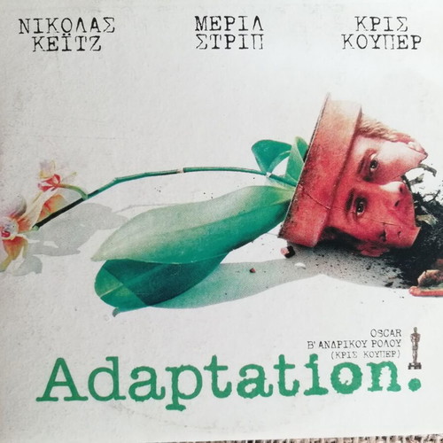 Adaptation DVD like new with Nicolas Cage, Meryl Streep, Chris Cooper