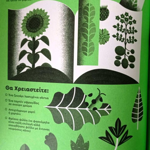 I Ate Sunshine for Breakfast children's educational book, Petita Demas