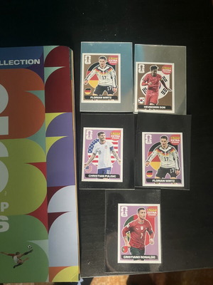 Panini World Cup 2026 sticker album 91% complete with extra stickers