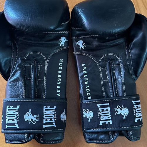 Boxing gloves size 10 new