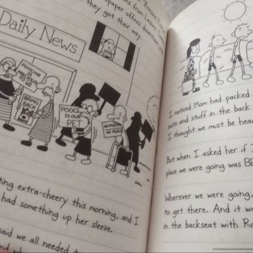 Diary of a Wimpy Kid Dog Days book like new, English