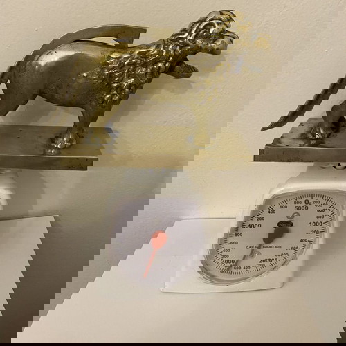 Μπρούτζινος διακοσμητικός καρυοθραύστης μεταχειρισμένος, 1930, λιοντάρι