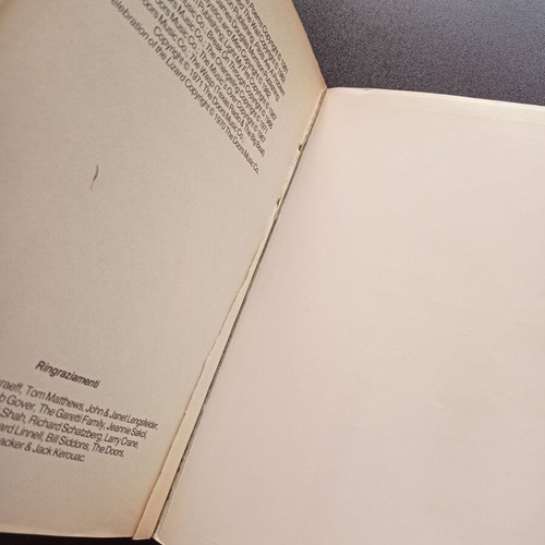Jim Morrison Lo Spirito Il Corpo book used, Italian