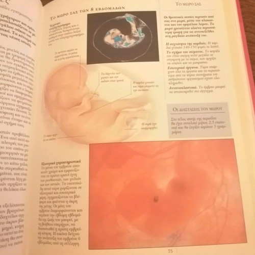 Book "Conception, Pregnancy, Birth" by Dr. Miriam Stoppard like new