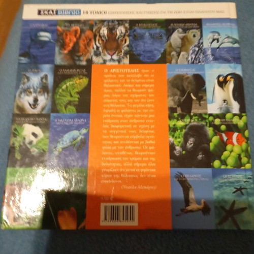 Whales, dolphins and sea mammals like new