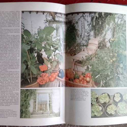 Decorative Indoor Plants Book like new