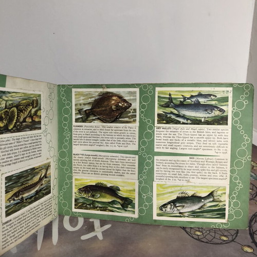 Vintage Brooke Bond Tea cards Freshwater Fish complete set used