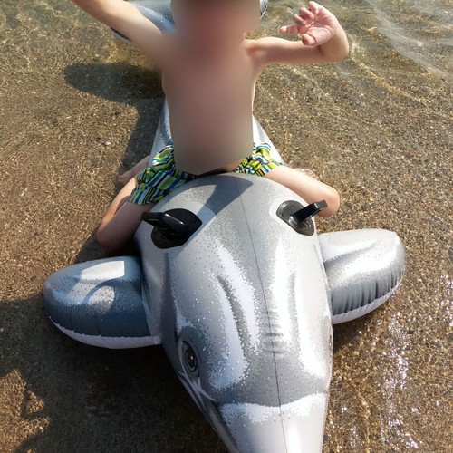 Inflatable dolphin used for sea and pool