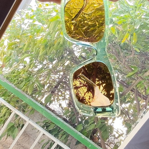 Eppoca women's green sunglasses