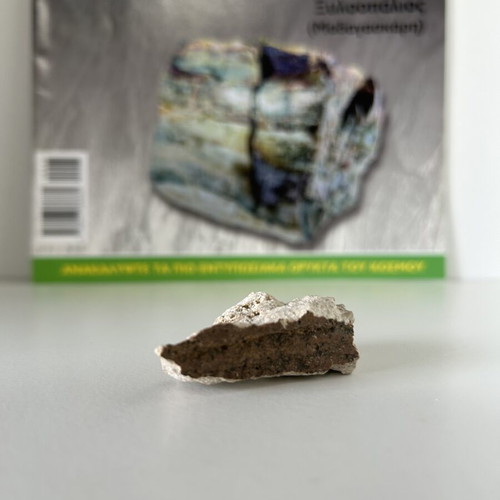 Xylopalios mineral from Our Planet collection