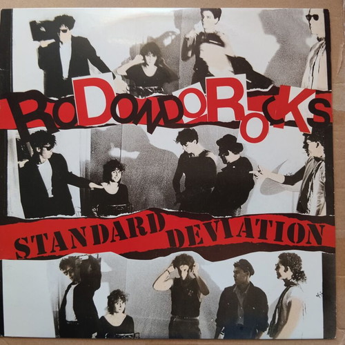 Rodondo Rocks Standard Deviation LP like new, electronic