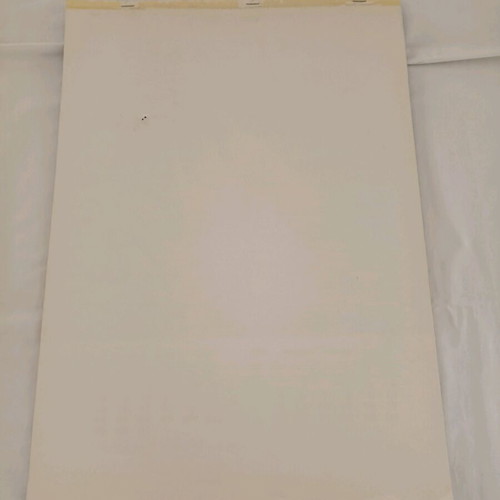 Kent Newport True rare 1971 wall calendar with semi-nude models like new