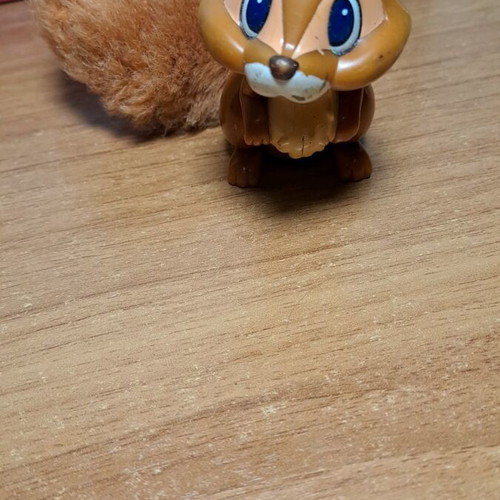 Squirrel miniature used