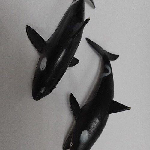 Whale like new