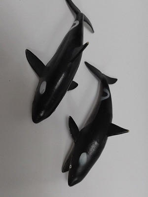 Whale like new