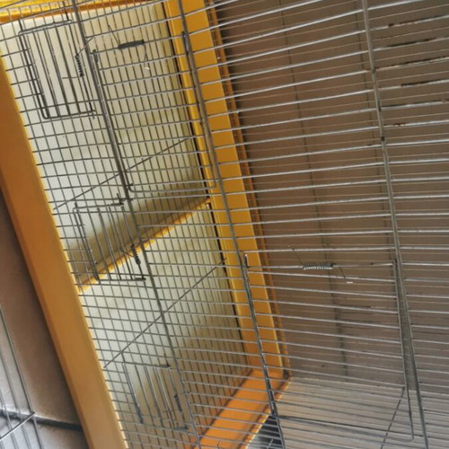 Spacious bird cage for breeding with removable divider and plastic trays
