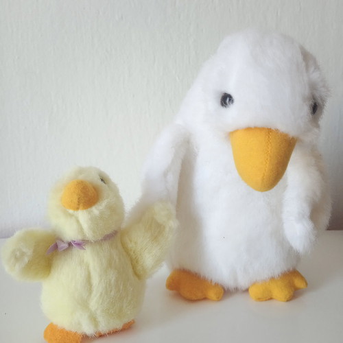 Ducks new set with large and small duck