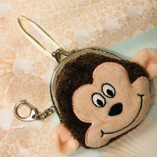 Children's keychain wallet used