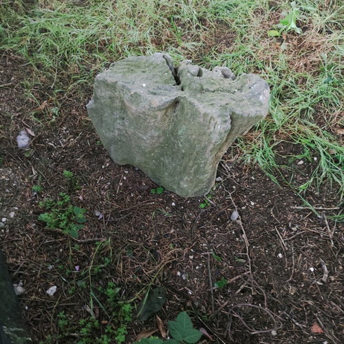 Fossilized tree trunk like new, large size