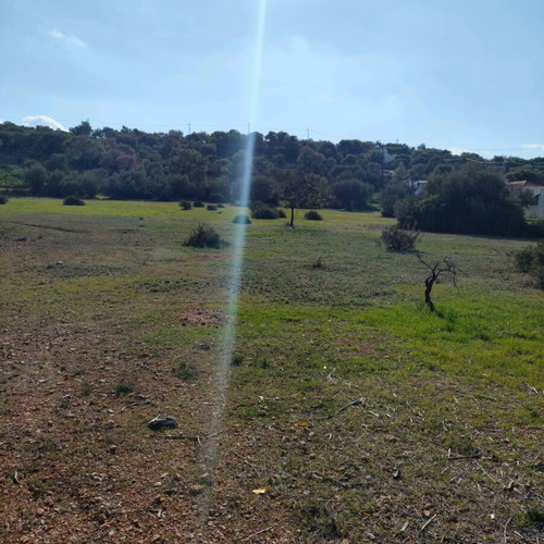Land plot 9 acres in Vasilika Salamina, buildable, residential area