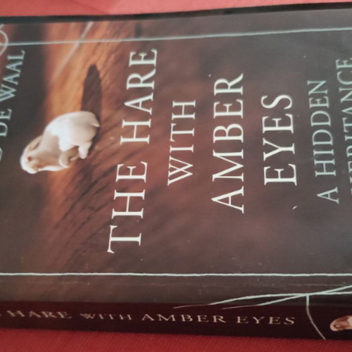 The Hare With Amber Eyes book like new, English