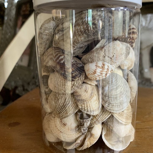 Jar 750ml with natural seashells like new for decoration or crafts