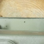 Professional sewing machine used