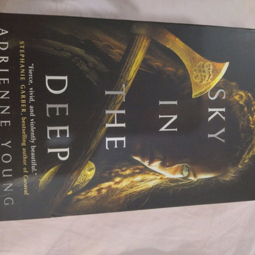 Book Sky in the deep like new, young adult in English
