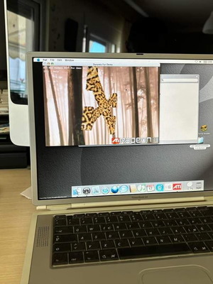 Apple PowerBook G4 Titanium like new model 867MHz 15"
