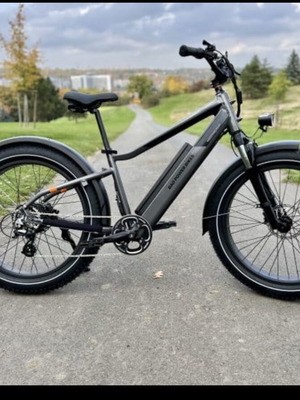 RadRhino 6 Plus electric fat bike like new