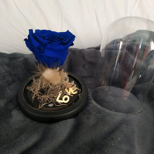 Natural rose used in glass dome