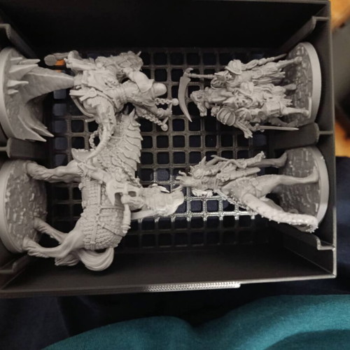 Black Rose Wars Rebirth 3D printed insert custom made