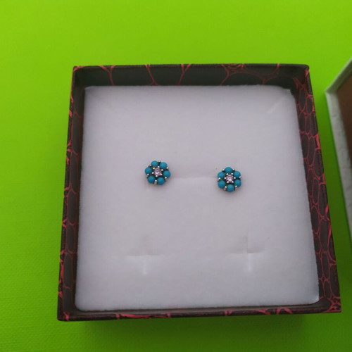 925 silver earrings used with turquoise color