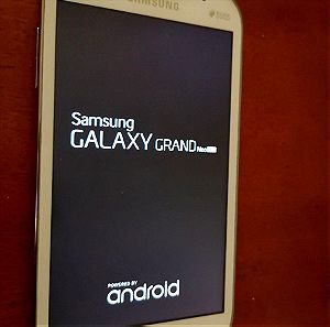 Samsung Galaxy Duos(dual sim)