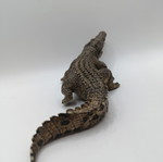 Schleich crocodile figure used