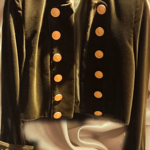 Velvet olive jacket used, embroidered with gold thread and stones, size S