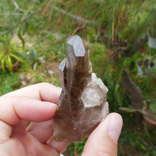 Smoky quartz natural raw crystal from Madagascar new 81.3 g
