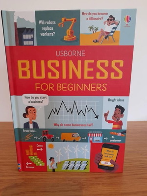 Usborne Business for Beginners new book in English