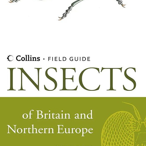 Insects of Britain and Northern Europe book like new, English