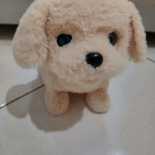 Plush dog with movement like new and free dog leash