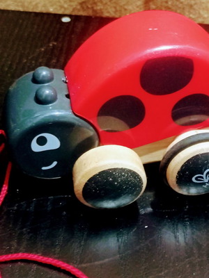 Hape Ξύλινα Βόλτα Με Την Πασχαλίτσα Μεταχειρισμένο