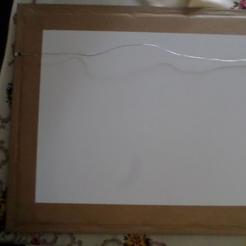 Egyptian papyrus with new frame