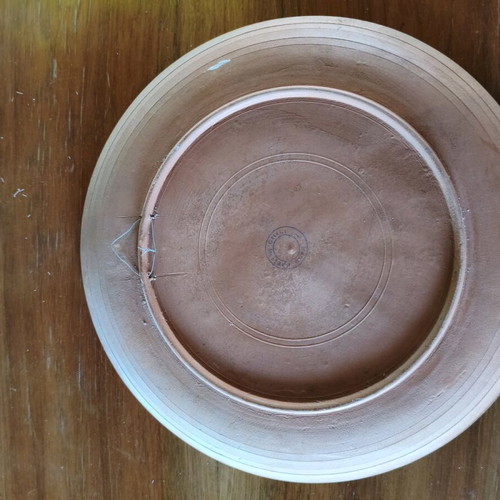 Decorative wall plate like new