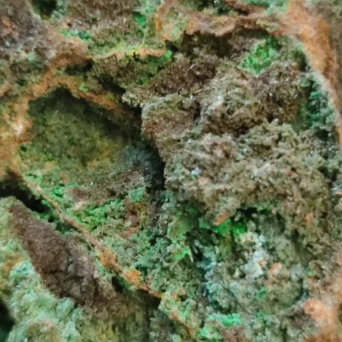 Conichalcite new calcium and copper mineral