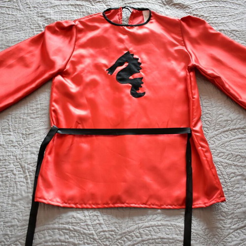 Carnival costume for boys 12 years like new