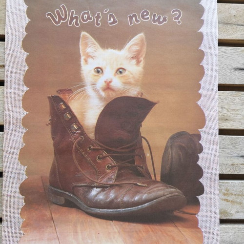 Letter set and envelope with kitten in shoe used