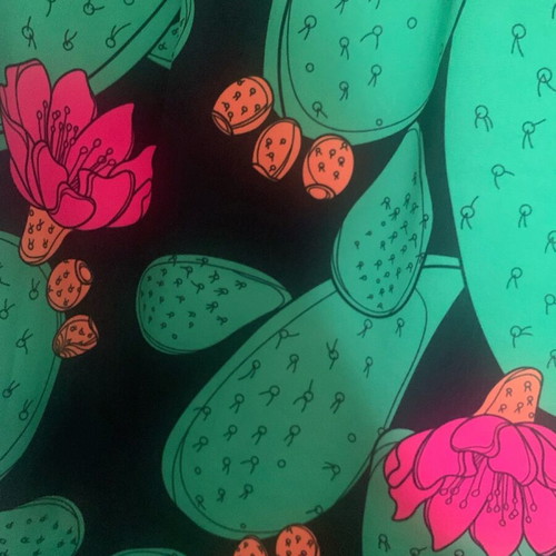 We Are pants with prickly pear print size large like new